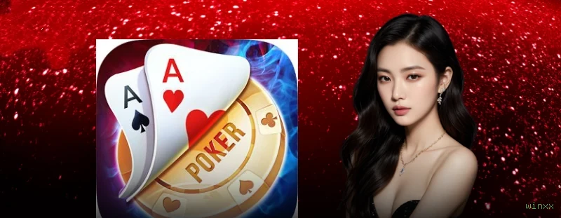 winxx multi dispositivo